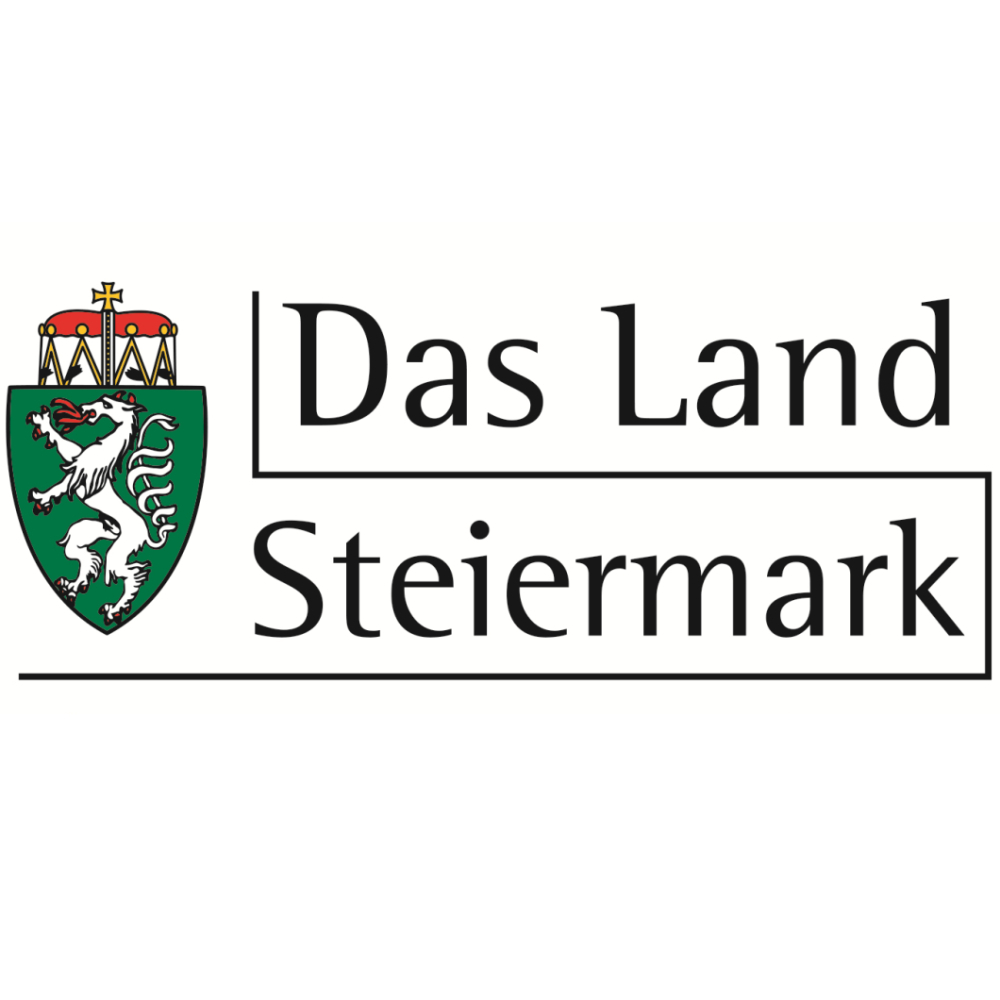Mobilitätserhebung Steiermark 2024